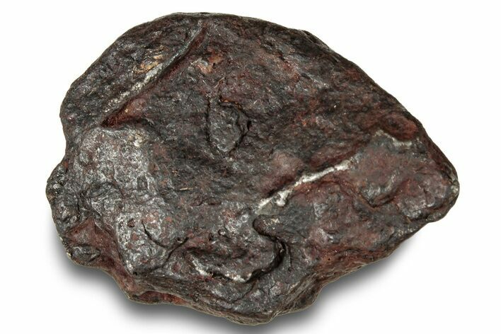 Canyon Diablo Iron Meteorite ( g) - Arizona #249960